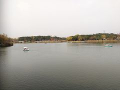 -昆山城市生态森林公园