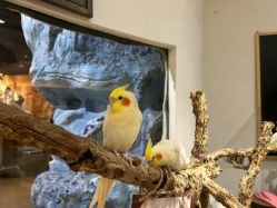 -Zoolung Zoolung动物主题公园(海信广场店)