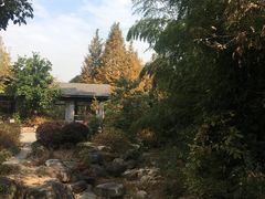 -宝界山林公园