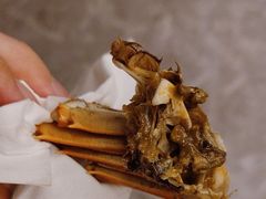 -蟹村草堂·苏式园林人文农家·大闸蟹