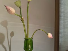 -菩提素素食餐厅(晶郦馆店)