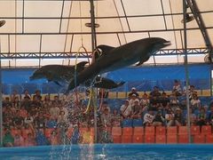 -尼莫海豚馆