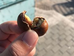 -秋栗香(地安门店)