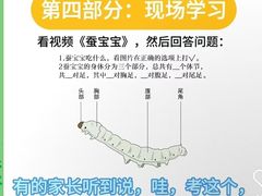 -瑞丁熊原版阅读(大华校区)