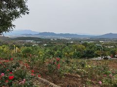 -密云玫瑰情园