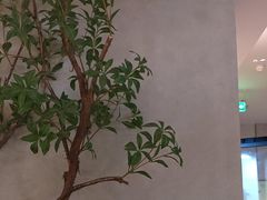 -眉州东坡(翠微印象城店)