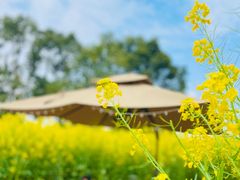 -中国天府农业博览园