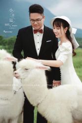 -花漾摄影优选工作室(东莞原创作品店)