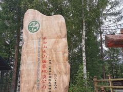 -峡谷浮石林景区