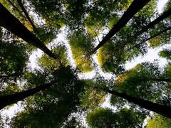 -山王坪喀斯特国家生态公园