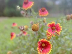 -永定河休闲森林公园