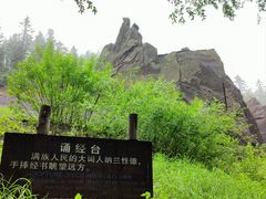 -峡谷浮石林景区