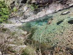 -黄山翡翠谷景区