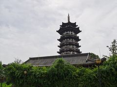 -洋湖国家湿地公园