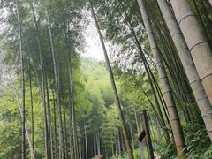 -五泄景区