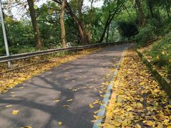 -重庆平顶山公园