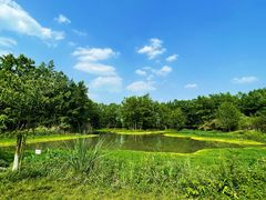 -桤木河湿地公园