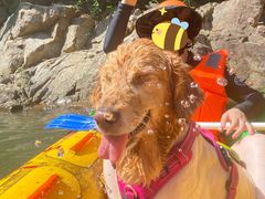 -安吉龙王山峡谷漂流