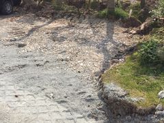 2号门车位-上海海湾国家森林公园