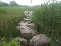 -绿堤公园