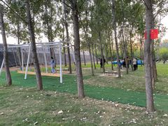 -森林小栈TreeStation露营基地