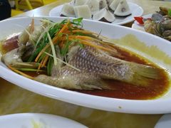 清蒸红宝石鱼-小海豚•老字号海鲜餐厅(天涯店)