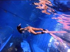 -成都浩海立方海洋公园