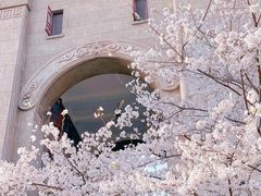 -武汉大学-樱园