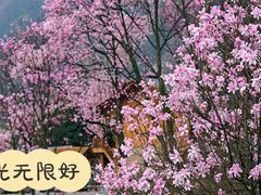 -九皇山景区