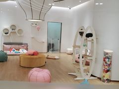 -1013 PET SHOP精品宠物商店(丁香店)