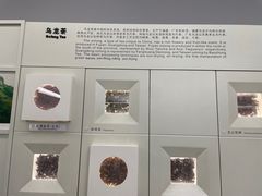 -中国茶叶博物馆(双峰馆区)