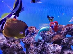 -太平洋海底世界