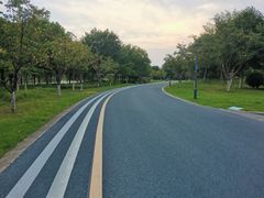 -贡湖湾湿地公园