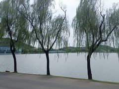 -上海月湖雕塑公园