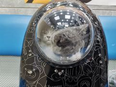 -美联众合动物医院(·中兽医·疑难杂症·严家桥分院)