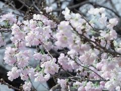 -花溪公园
