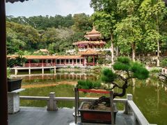 -深圳仙湖植物园