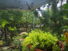 -小仙居·农家宴烤羊· 农庄
