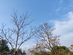 -福道