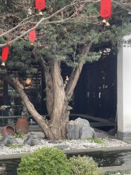 -保丽宝泰母婴护理院·月子中心·产康·中医(常州店)