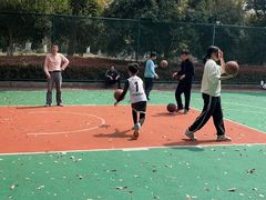 -九科绿洲