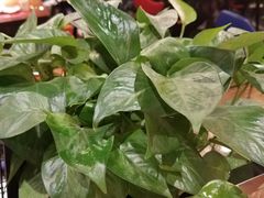 -夜小红炒虾尾(建文店)