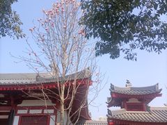 -大慈恩寺(大雁塔)