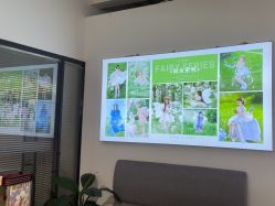 -大连棒棒糖儿童摄影(熊洞街店)