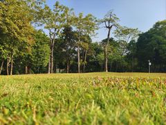 -南宁市凤岭儿童公园