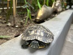 -后海16号·北京私房菜