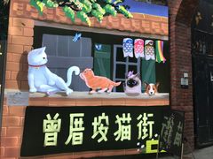 门面-有猫主题·治愈系猫咖(曾厝垵店)