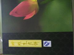 -蜂蝶来饼店(拱北总店)