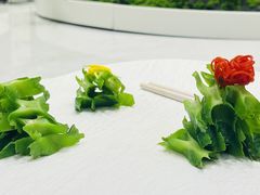 -丁老爷子苏香圆