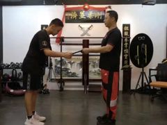 -温鉴良实用咏春拳